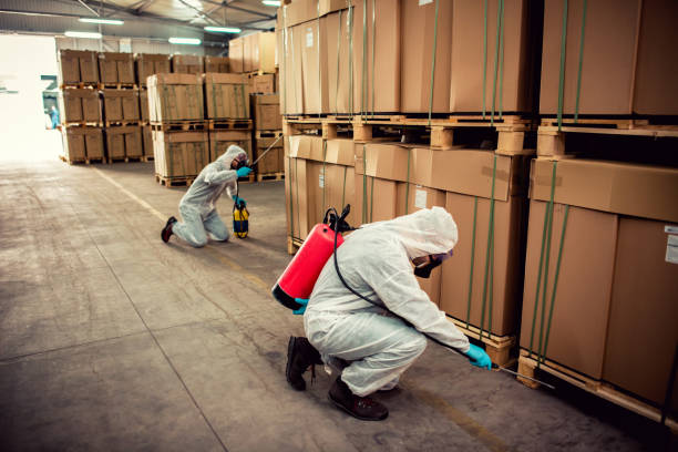 Best Pest Control Cost  in Highwood, IL