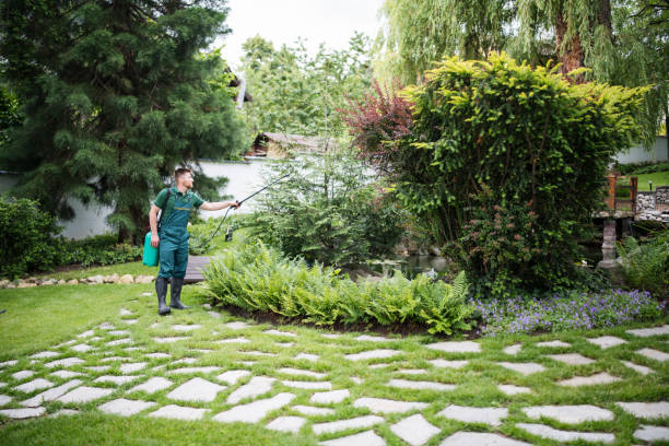 Best Ant Control Services  in Highwood, IL