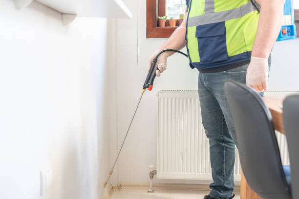 Best Wasp Removal Services  in Highwood, IL