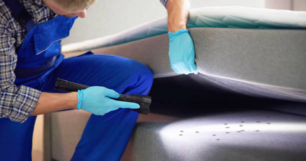 Best Affordable Pest Control Services  in Highwood, IL