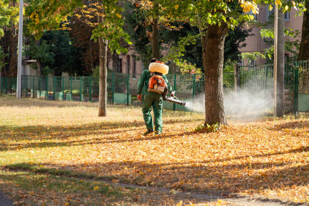 Best Commercial Pest Control Services  in Highwood, IL